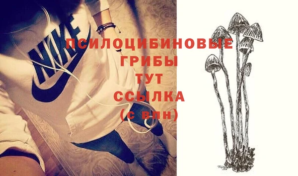 экстази Белокуриха